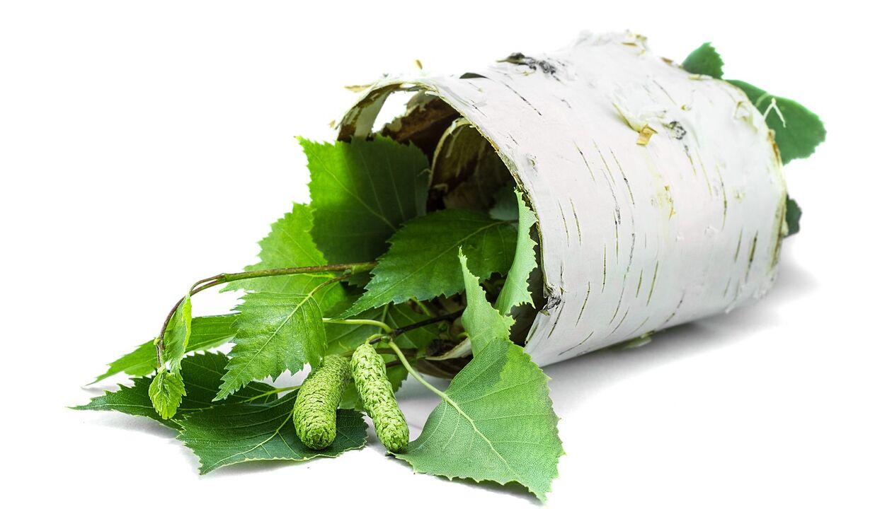 Birch και εκχύλισμα φλοιού ως μέρος της κρέμας Demyxil